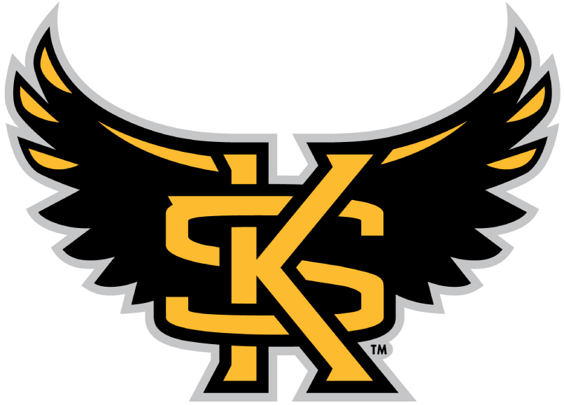 Kennesaw State Owls 2012-Pres Alternate Logo 04 iron on paper